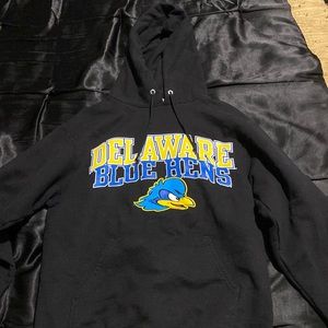Delaware Blue Hens Sweatshirt